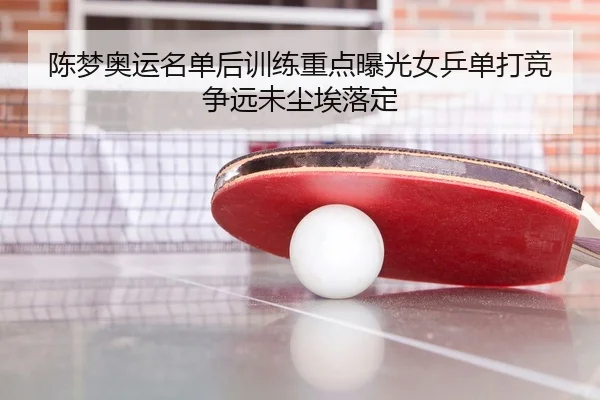 陈梦奥运名单后训练重点曝光女乒单打竞争远未尘埃落定（aiyouxi）